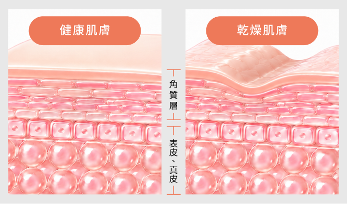 六胜肽撫紋配方 作用剖面圖